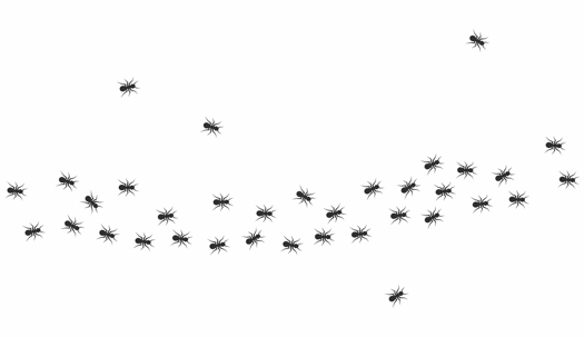 Digital image of ants walking