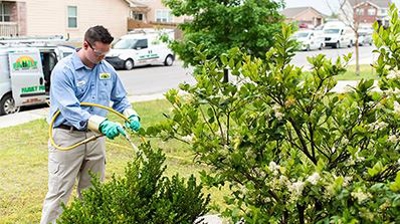 San Antonio Pest Control Experts | Family Pest Control LLC