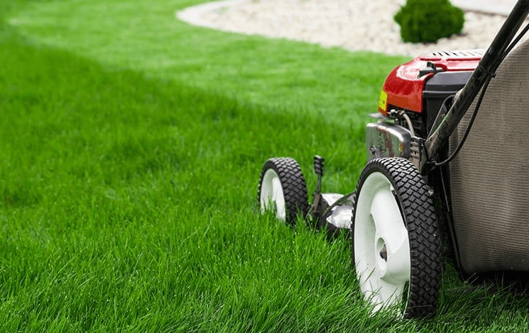 image of a lawnmower