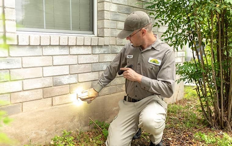 Technician checking walls for termites