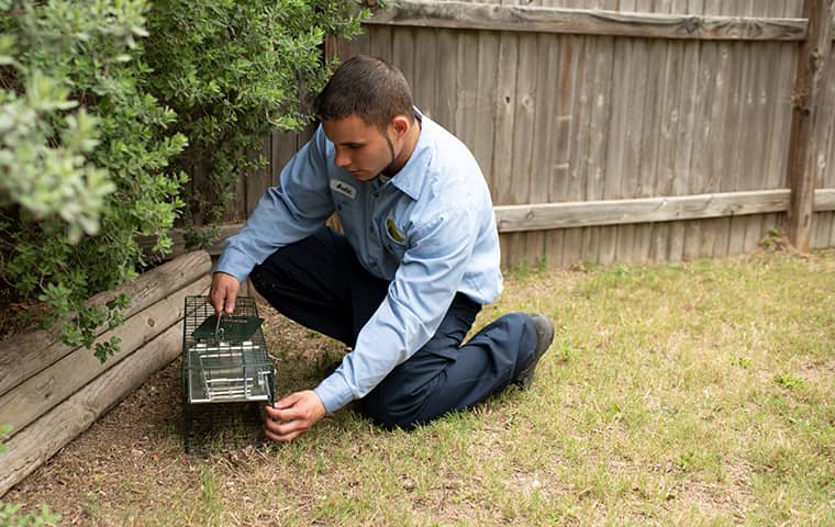 image of a pest control expert