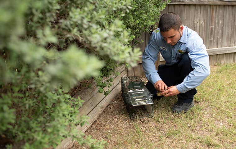 image of an exterminator in a garden