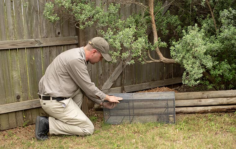 Technician using removal cage