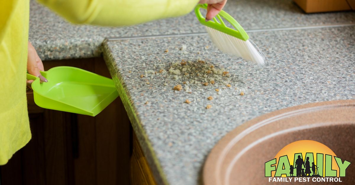 Are You Accidentally Attracting Bugs? Everyday Habits That Invite Pests ...