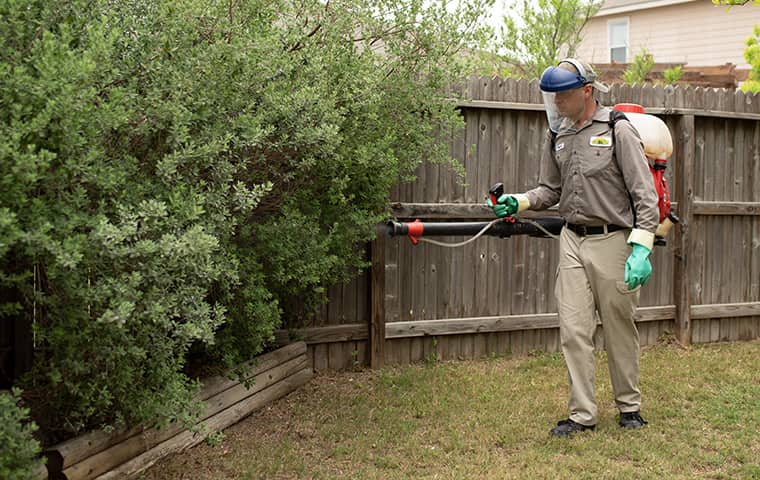 image of a Misting Service For Mosquito Control