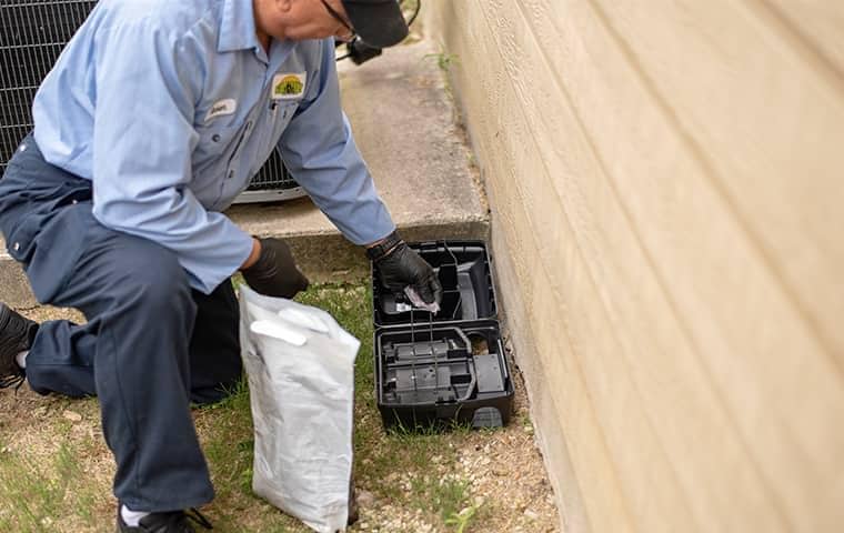 Technician setting up trap